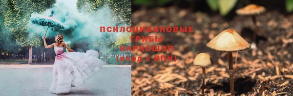 спиды Абаза