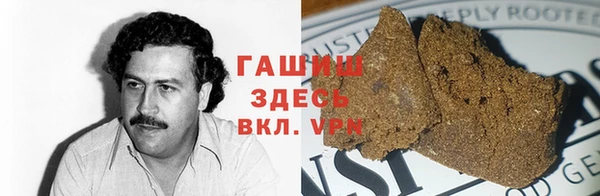 прущие грибы Алзамай