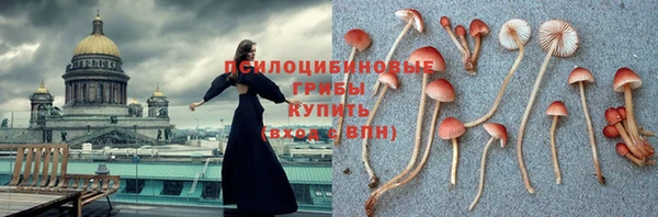 первитин Алексеевка