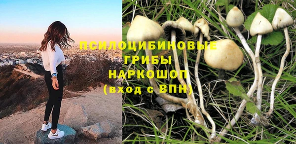 прущие грибы Алзамай