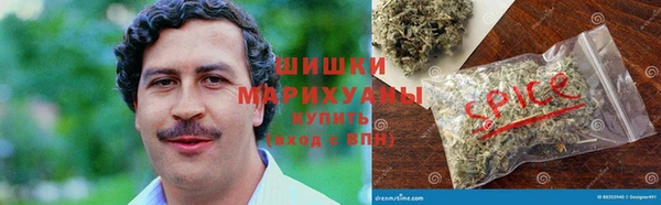 прущие грибы Алзамай