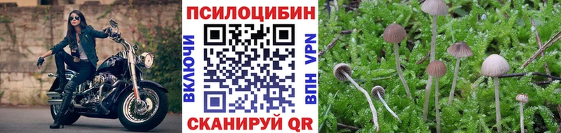 Галлюциногенные грибы Magic Shrooms  Советск 
